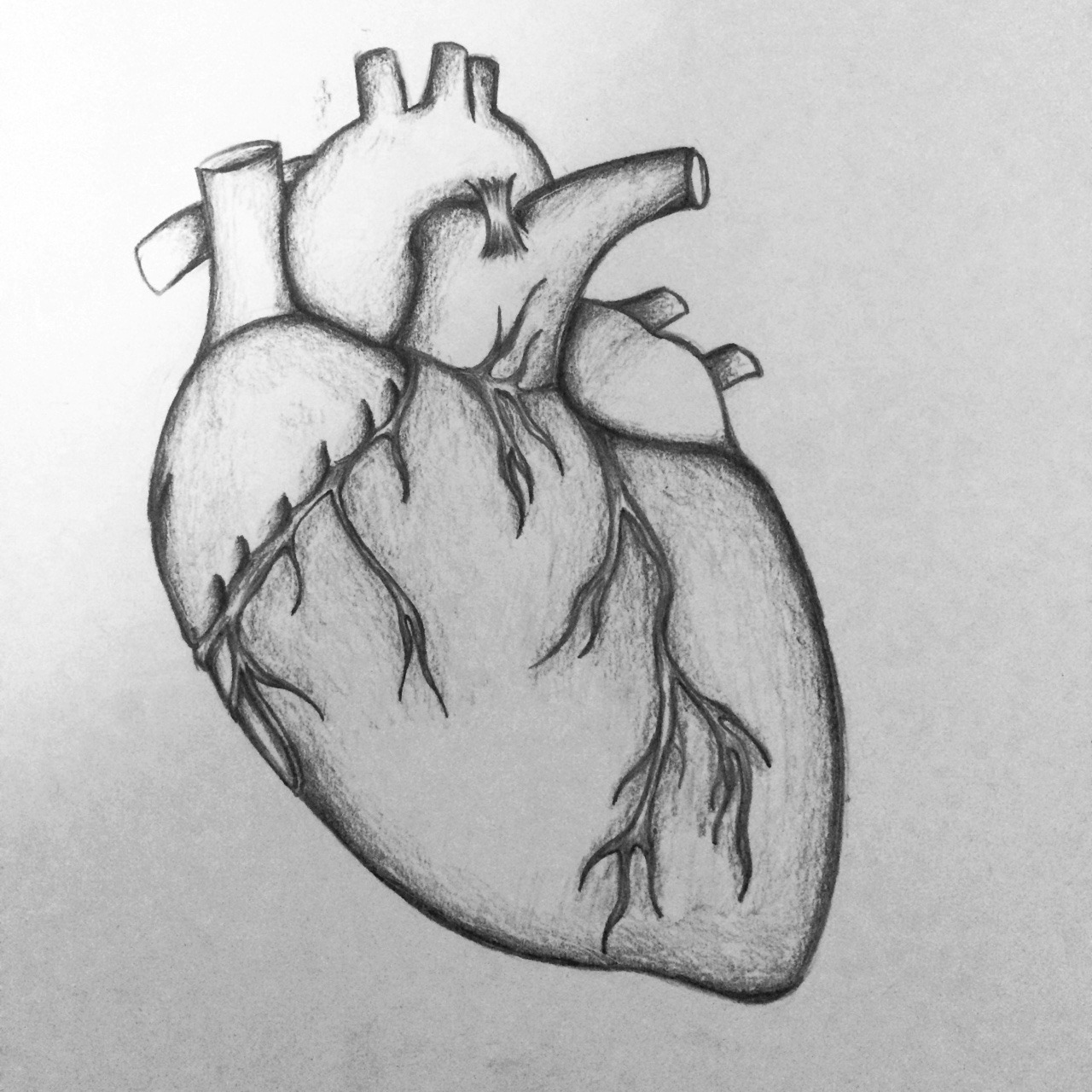 Легкие люди простым карандашом. Сердце карандашом. Сердце для срисовки. Рисунки для срисовки сердце.
