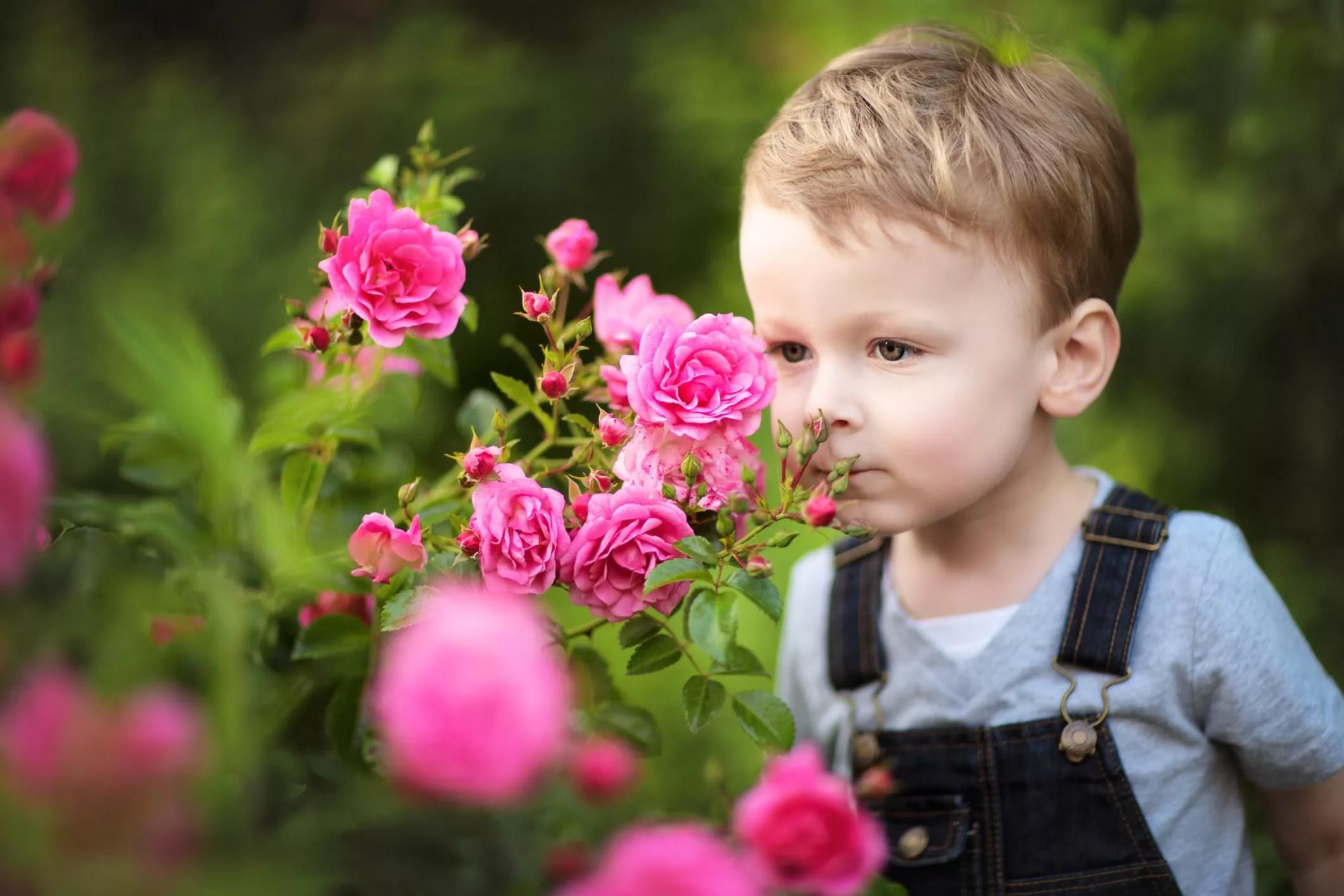 День сына в мире. Дети розы. Мальчик с цветами. Дети с цветами. Мальчик с розой.