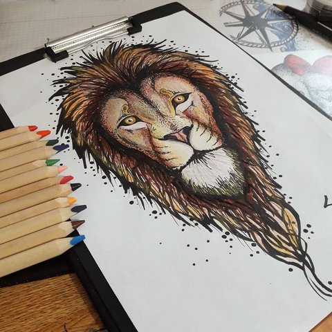 Цветной эскиз льва с большой гривой