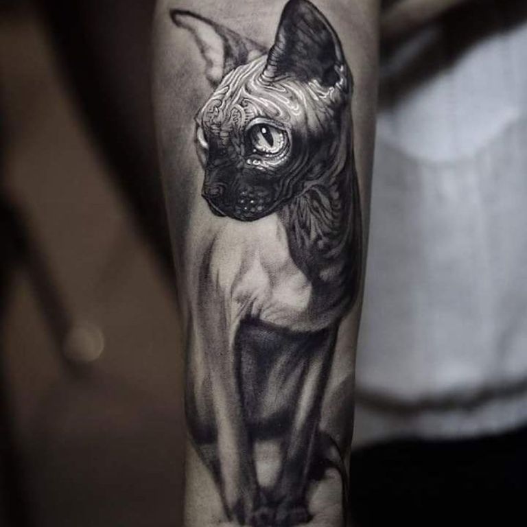 татуировки кот