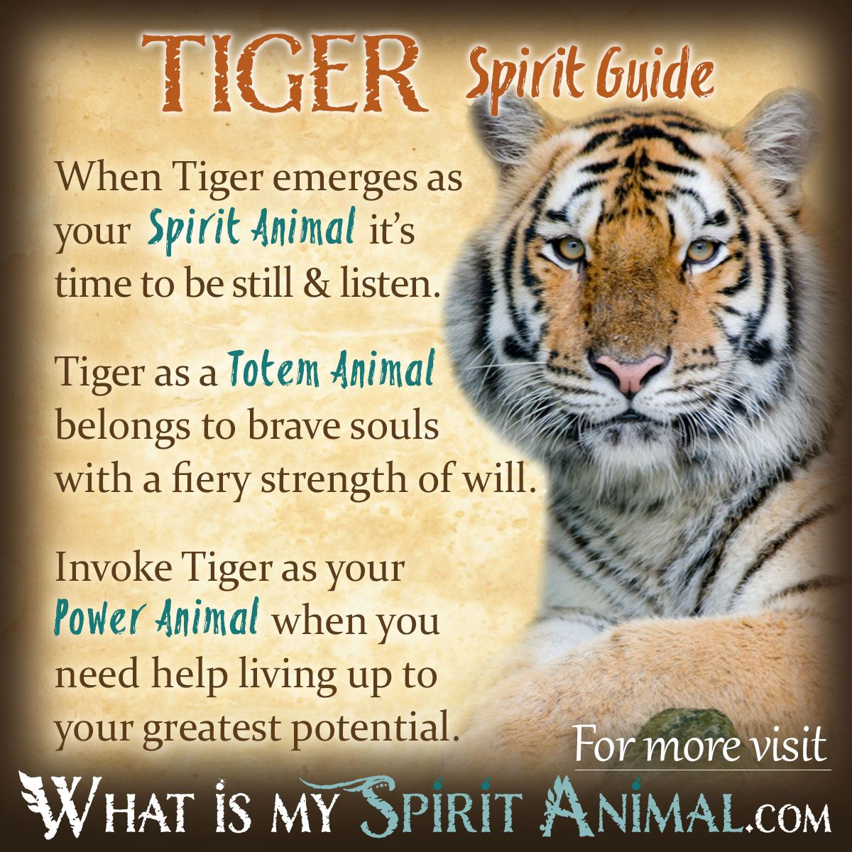 Tiger Spirit Totem Power Animal Symbolism Meaning 1200x1200