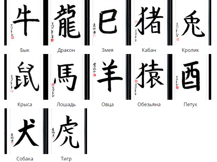 Тату японские иероглифы - знаки зодиака
