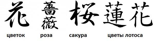 Тату - иероглифы китайские - цветы