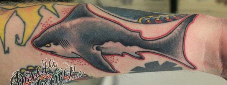 Художественная татуировка «Акула» от Данилы-мастера.