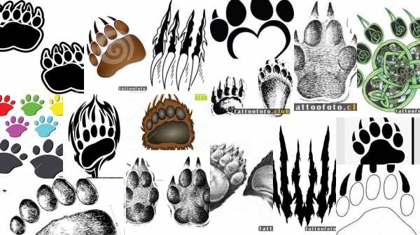 Лапа медведя тату эскиз