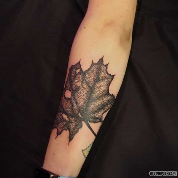 Значение татуировки лист конопли сколько держится конопля в организме