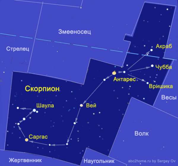 Созвездие скорпиона рисунок