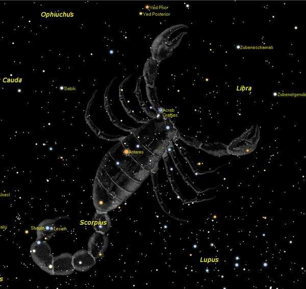 Созвездие скорпиона рисунок