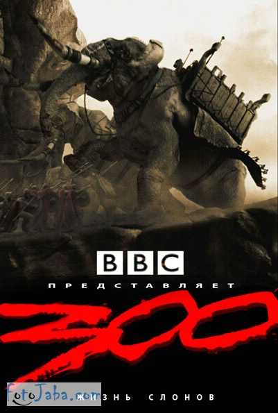 Картинки все по 300